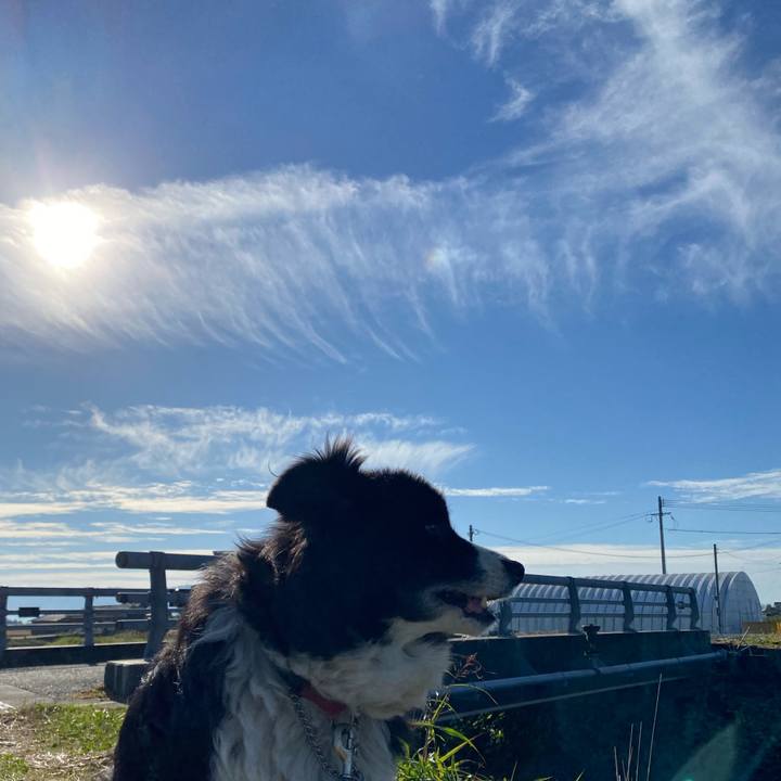 D48e88f0 df15 4b70 ac55 9bd853a03fe3 1667696246696