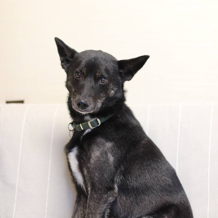 D48f0af5 32a6 49cb 93fc fbf4b8f28606 1556754041221