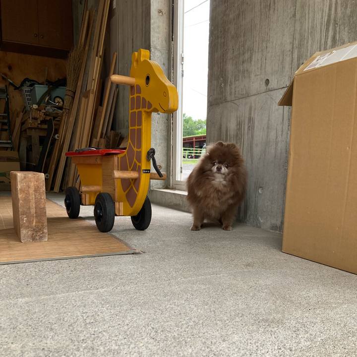 D48f1e23 0f79 4ce9 abf9 718d2a91554f 1722940968303