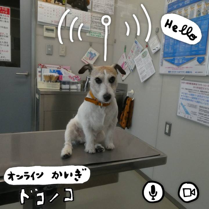 D48f358a c552 4827 abb6 8416595212c1 1592391529174