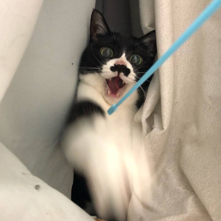 D48f423d ffb9 45cc a586 6ae036119505 1543934134663