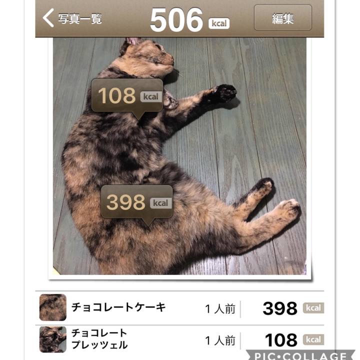 D48f4ce2 bbcb 4e7a 8d90 2a0c3932e94e 1536422278734