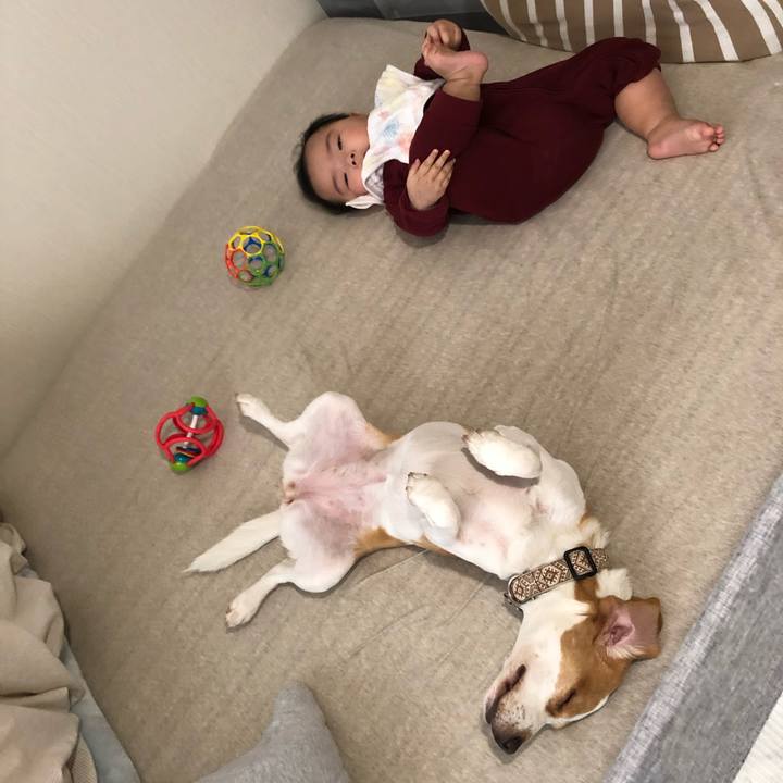 D48f6855 082a 44b1 9eaf 11f833b2b80c 1613628819543