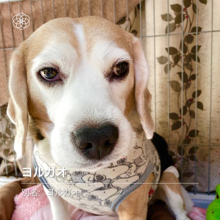 D48f68aa c310 4494 bb22 05bcbb089691 1589686785786