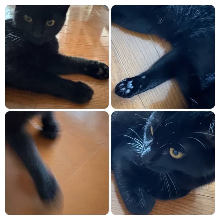 D48f73b5 81d5 43ef b499 27a018a511ac 1732861069583