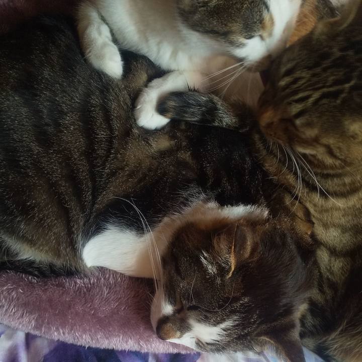 D48fa241 75c8 493f 9590 b5260eddb8aa 1711088389874