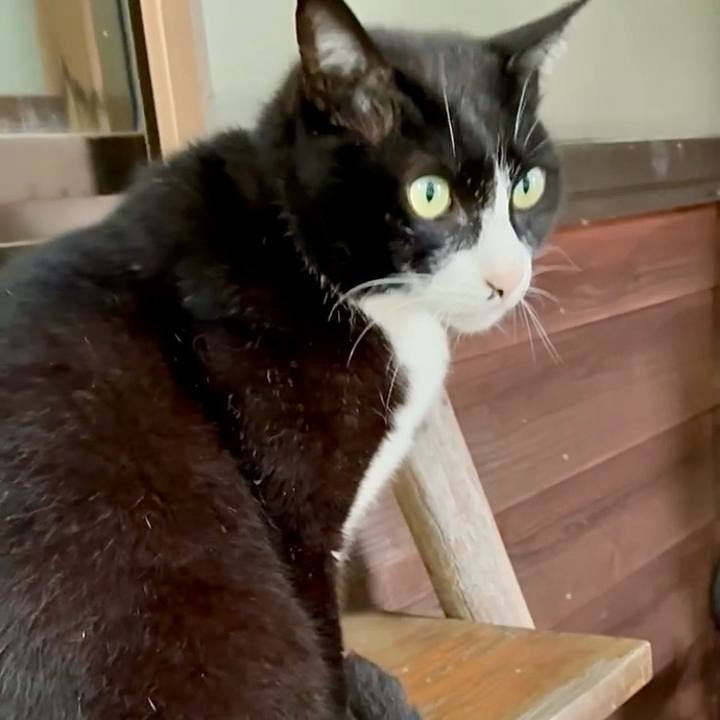 D4900907 3fc3 44fe a900 e88a11ac72a0 1749693153216