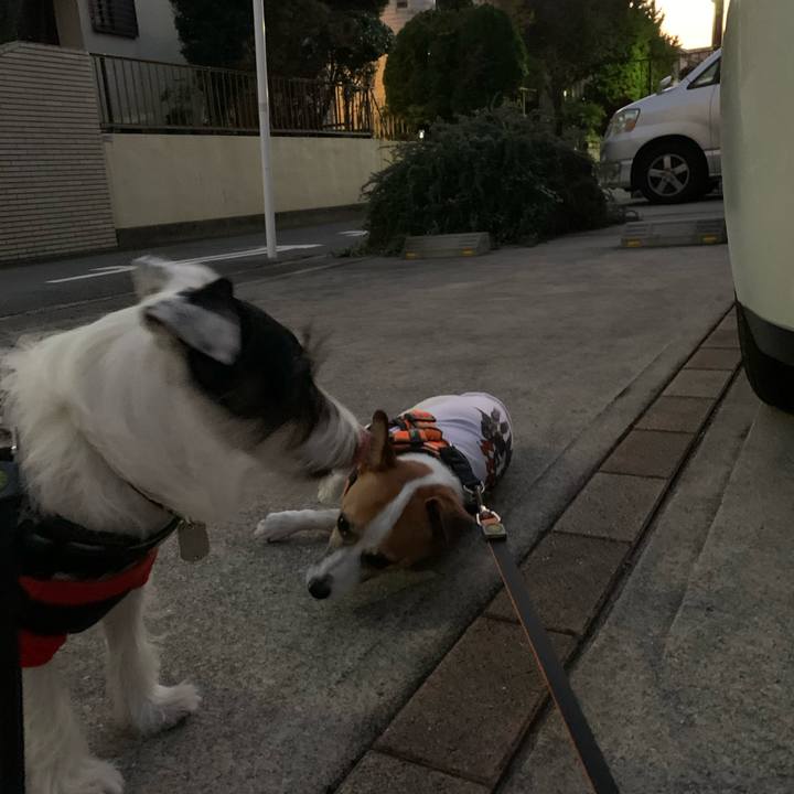 D4900ee9 26cf 48b1 9c81 0ae778eb2d16 1572945076157