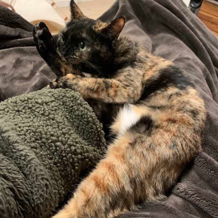 D490142f 4212 432c bc2d 33fd6f3f7962 1580210551299