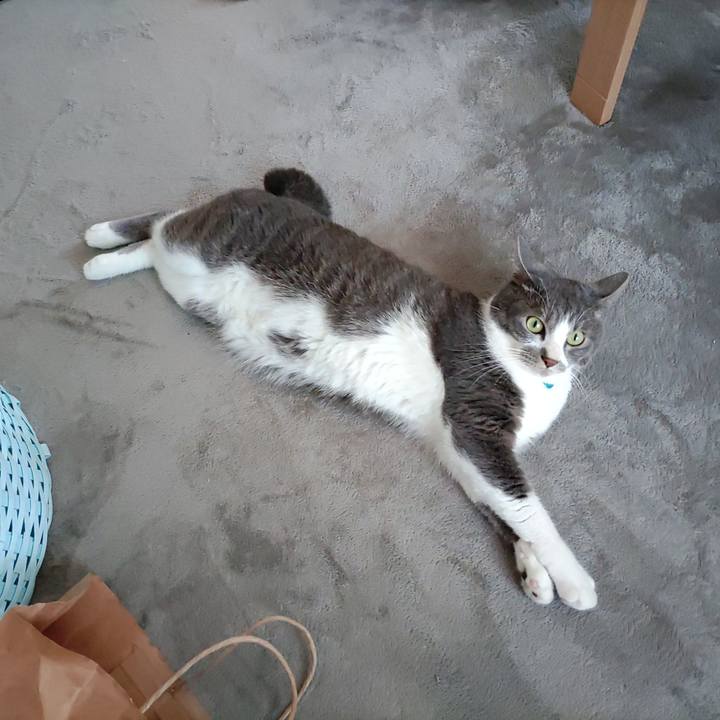 D4902929 093b 40f8 b693 c0eaa3cd84f3 1654992204811