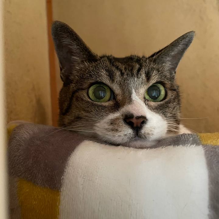 D4904645 8fa2 4cd8 a9fc 2b57d35fa85d 1662599409582