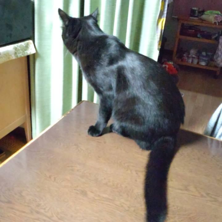 D4908be3 d933 45c4 843b 32487113cfee 1640771819861