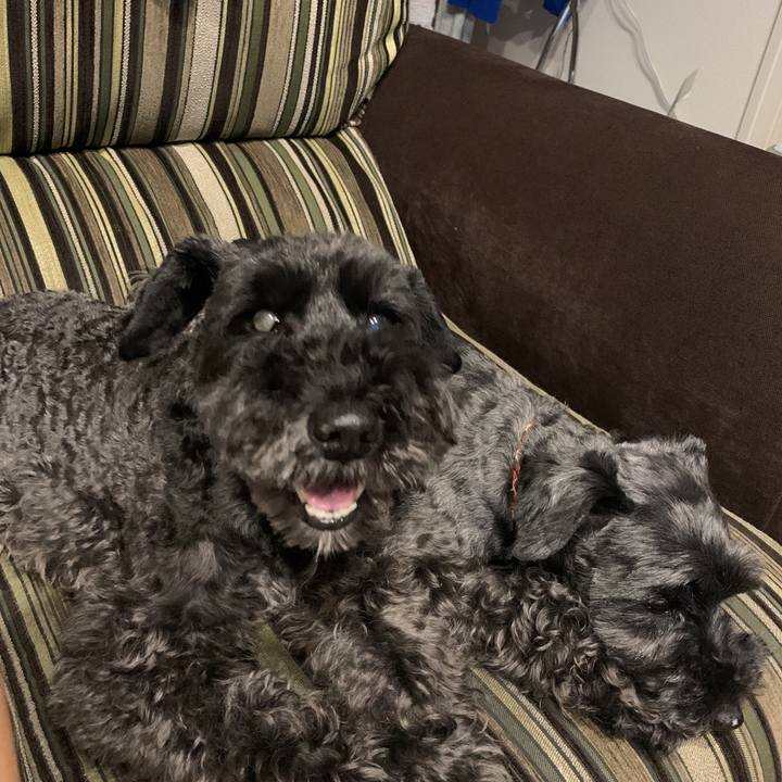 D4909c4e 3fc2 4e0e 93e8 62976f1d8aca 1592314546047