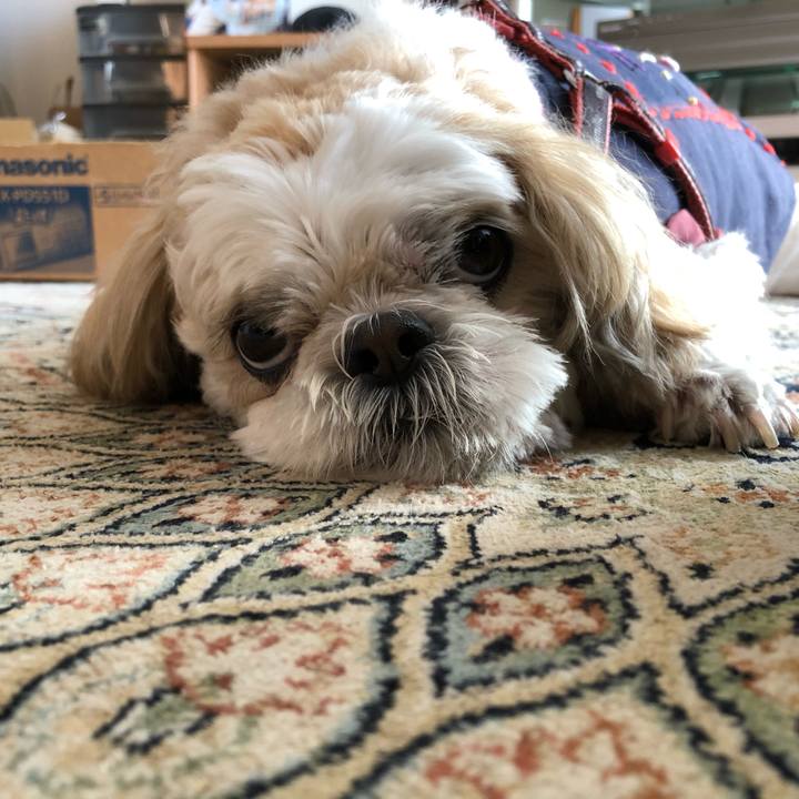 D490dc53 3875 4e8b 93ae 7ad5f10c0430 1606081548937