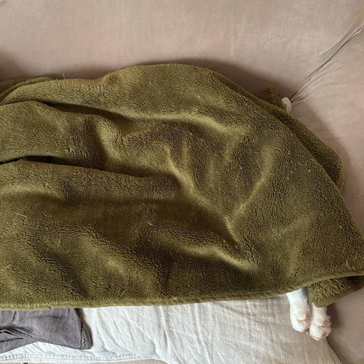 D490f1ce 039a 41fc ad4d 3c8321cd509e 1767347572013