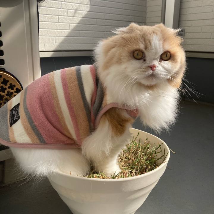 D490f5df 4312 4fde a49e 2298d332f195 1708227224195