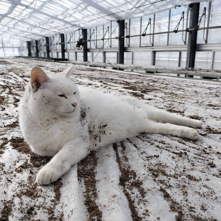 D490f999 5930 48d0 8d84 1a6bc02dd28a 1770695390407