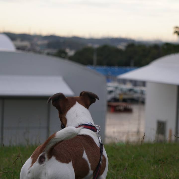 D491113d ebc1 4f02 946f 2f71453aa12e 1510011537215