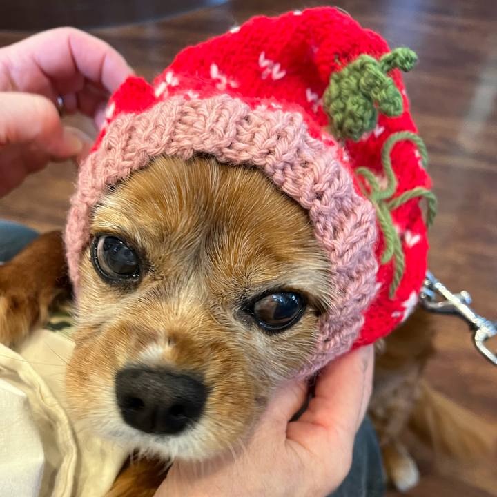 D4916a43 93b6 4be8 b59c d45bc03151a7 1759538512309