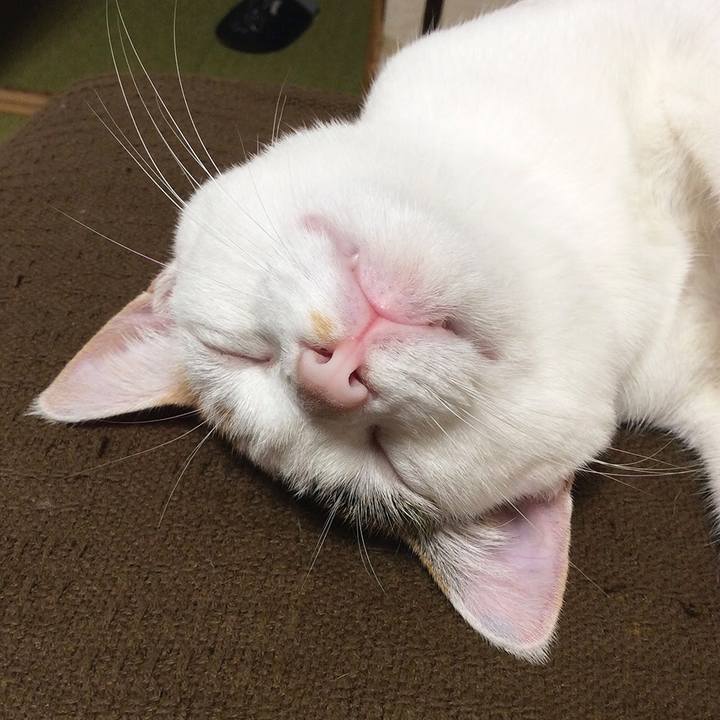 D4923082 1cc3 4747 b0c4 92e2fdb7d7bb 1563418853715