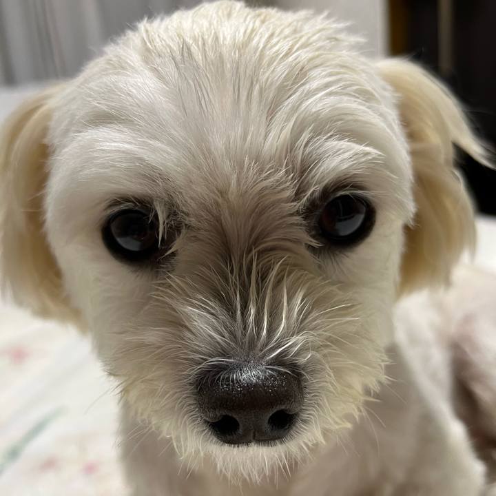 D4923f0b 2258 4336 8341 5b72a946e84f 1663760548776