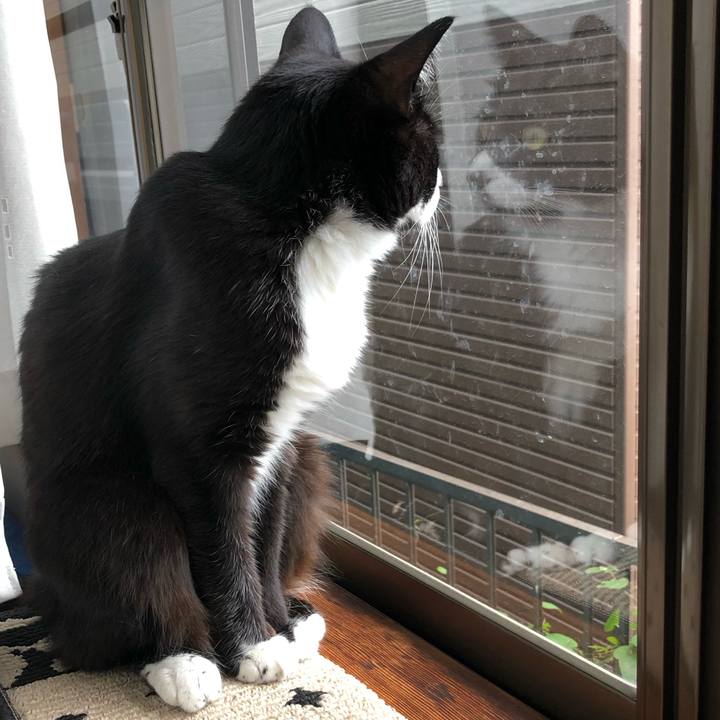 D49246d7 a37a 4553 80e3 a41fa961131c 1565149407795