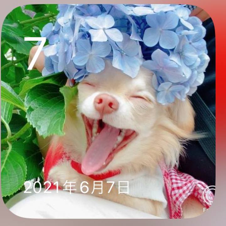 D4924ec0 b40f 43ad 9cbe 789540be8c2a 1717737809862