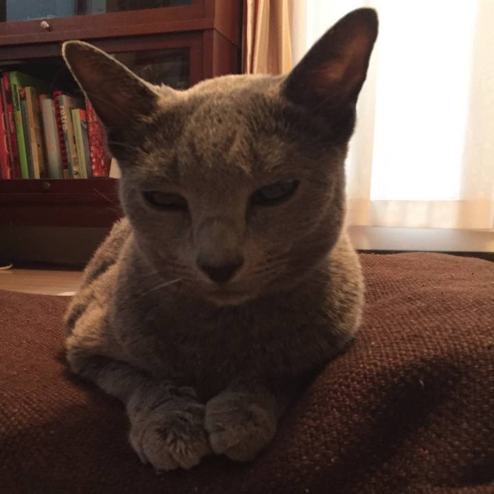 D4925644 6668 4801 9f8d e1c50ff79d81 1539818442117