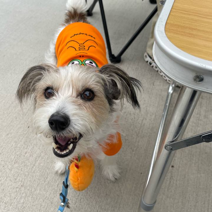 D49268b8 5948 4f64 b9fe eef3fe40e452 1761315133168