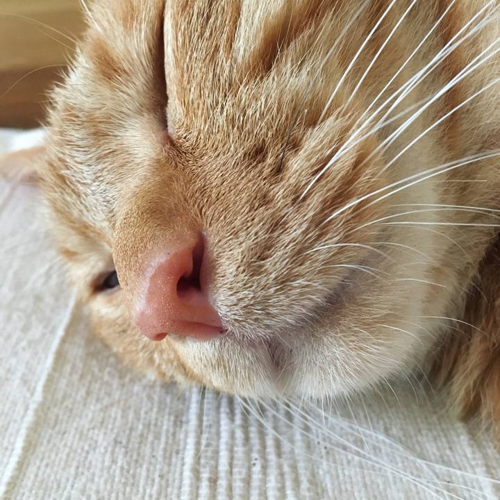 D492e24f 1f4a 4e4b a98a f71dcc71ff2f 1597188204455