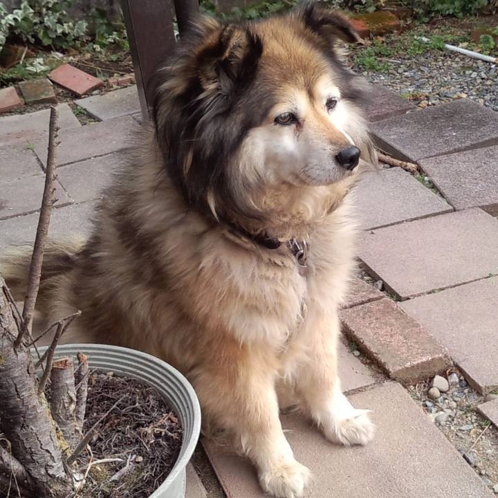 D49311aa 4aa8 4f1b 873a 83fd76e608cc 1601846262566