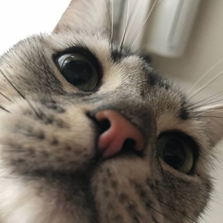 D4933ac4 1402 493e 809d 3507de469ce7 1540078331866