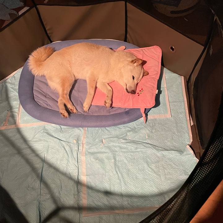 D49362a7 4f50 4ca4 8f9a 75fe40053292 1654105554503