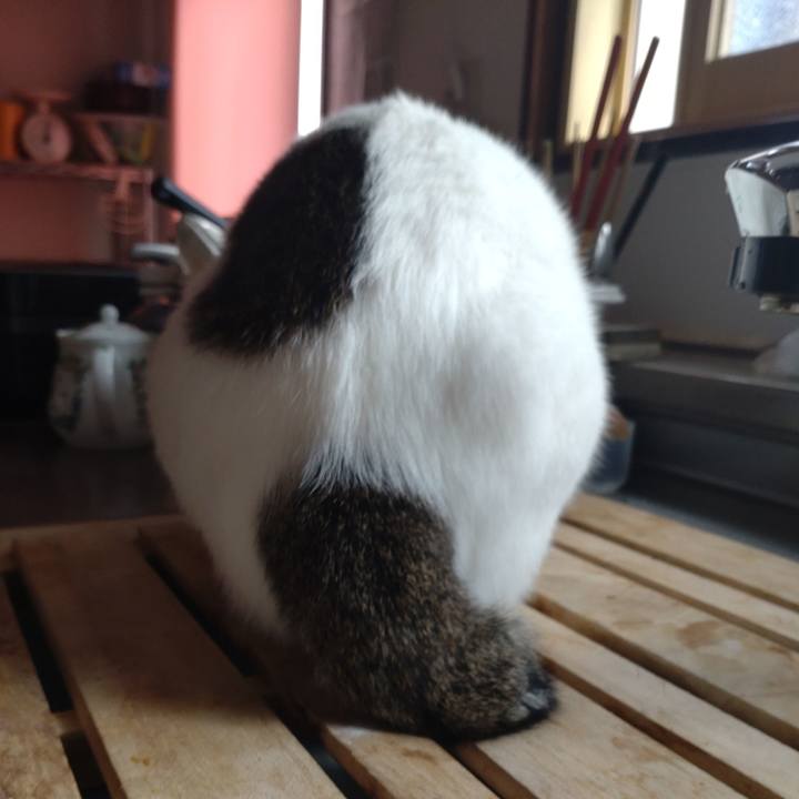 D4937a2a 6197 4d91 8978 d46803cc84ed 1682980320608