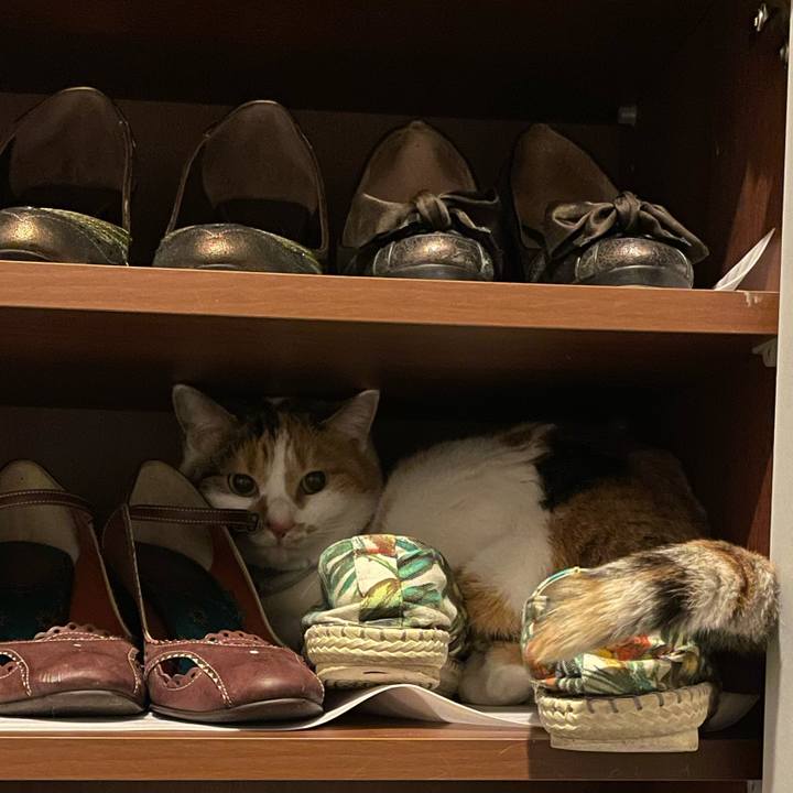 D49398bf 48d5 41ae b19a 067833087b3d 1670760168457