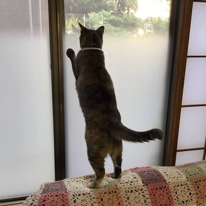 D493f314 a069 409f bc00 e272995b1326 1722245517114