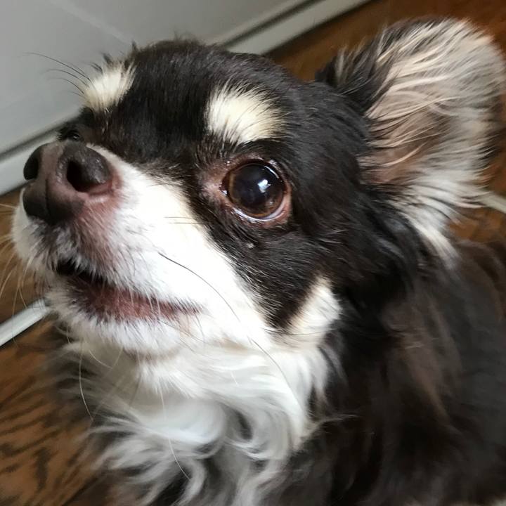 D49407f8 b208 4e3f aec1 2a6613d9cdbb 1523607634962