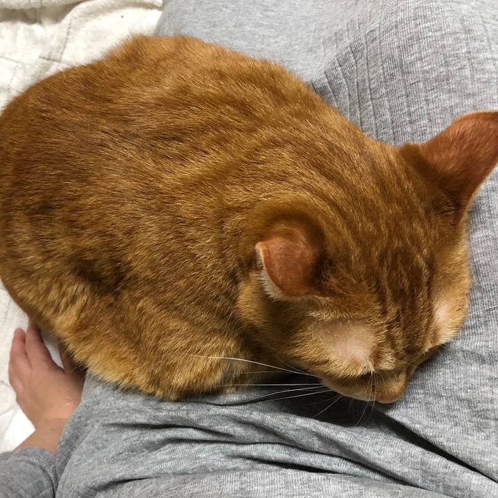 D4942d9f b3bd 45ee a41a 9fa74205a250 1594299446952