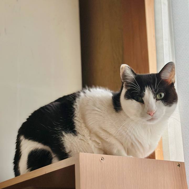 D4946063 ec1f 4ead 9447 db9f3e096345 1670724586676