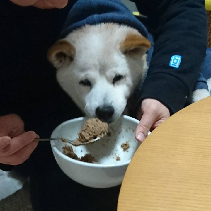 D4948e5b 7290 46fa 850d b1cf3e3d36c2 1514111563045