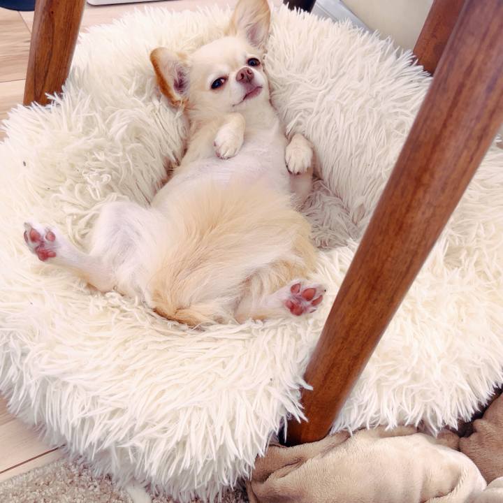 D4949f6d 7071 4f7f af60 8d52991d4176 1759667146060