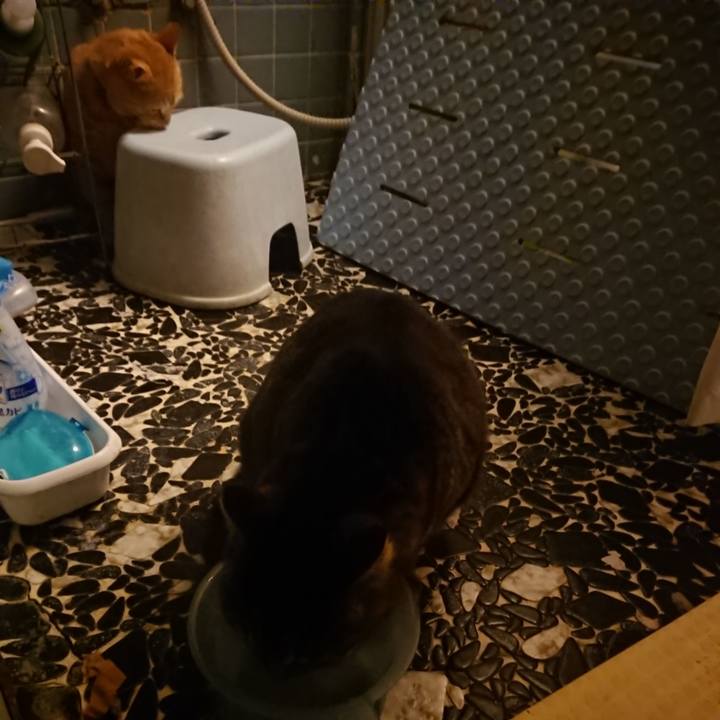 D494a238 6a76 41a6 8c79 dc26fbb554d7 1640779308275