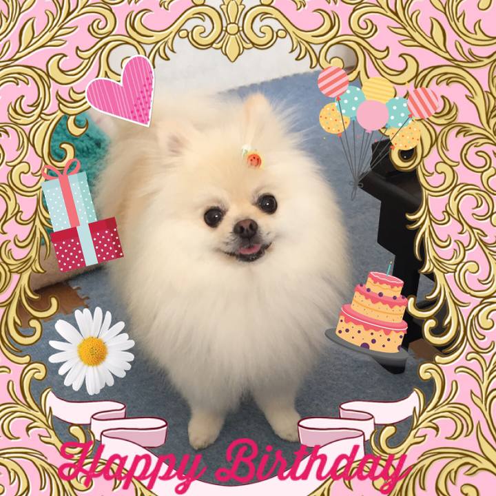 D494b8d4 047c 4c38 af58 c07fc4d5653a 1565364517476