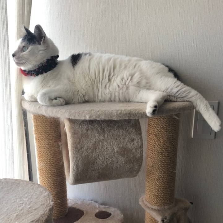 D494d096 dd4a 423d b48d 3b1981184b18 1558582621126