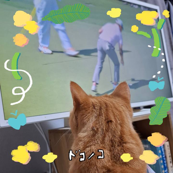 D494d5fa d6db 40b1 8d4b b00aa69fe282 1744587117295