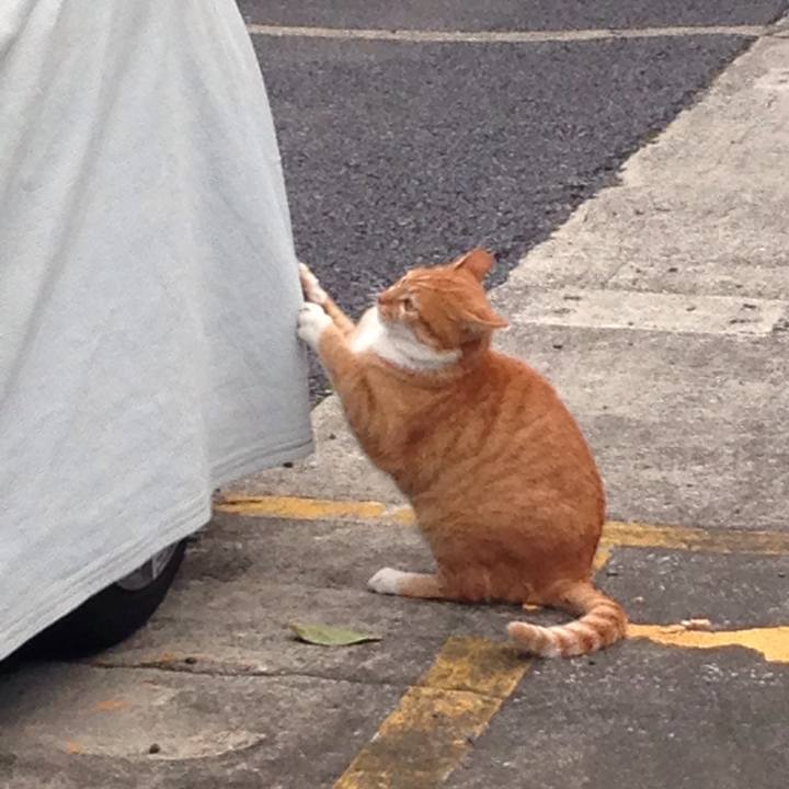 D4952132 e5fb 4a14 a76f c363d321a078 1508851752270