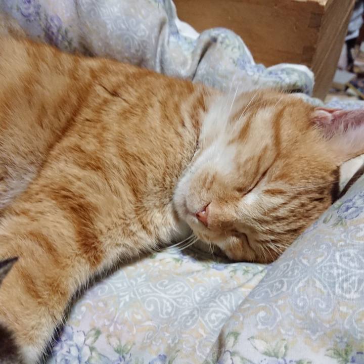 D495256f 2202 4079 88b1 77b87802029c 1575462559124