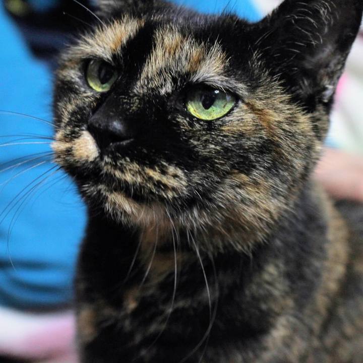 D4952f45 cf4a 4af0 a12f ce8749491d07 1606631106144