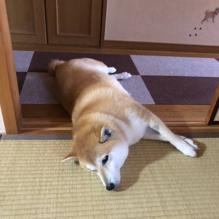 D495655e 3052 406a b32d 8165af751e06 1558429014151