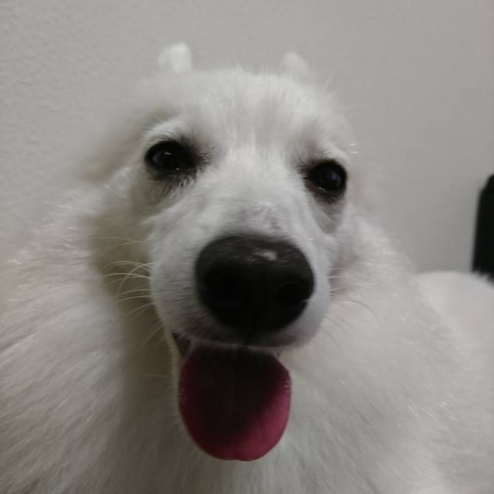 D495722b 115c 4e50 9b41 fac955ced474 1536227971440